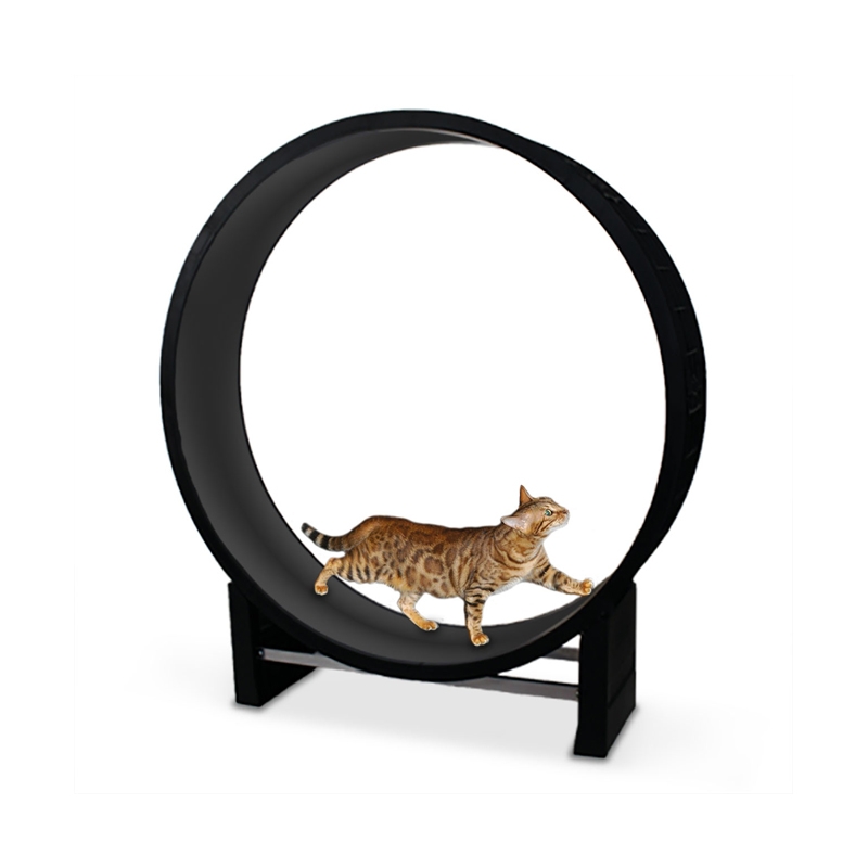 Obrázok pre Ukážkový NEPREDAJNÝ produkt Kolotoč pre mačky Motion